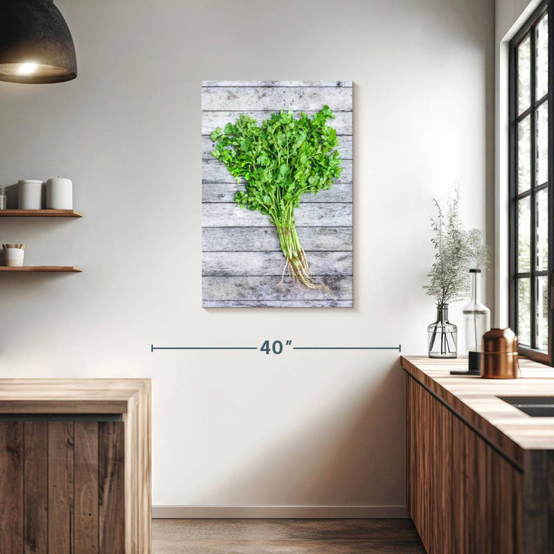 Harnek Cilantro, 36" H x 24" W