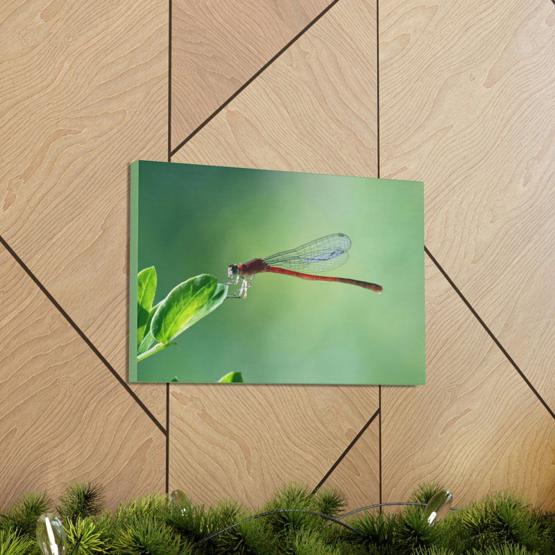 No Frame Print on Canvas, 30.48cm H x 45.72cm W