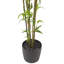 Arbre de bambou artificiel en pot-1173467037