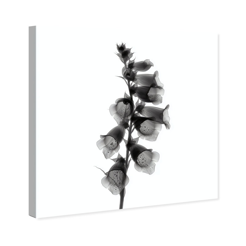 Ossified Petals II Print by Oliver Gal, 12"H x 12"W, Gallery Wrapped