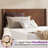 Mid Century Solid Wood Platform Twin Bed Frame With Wood Slat Support, Black Walnut-645595761-645595764