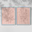 «Rosetone Blossoms I», reproduction encadrée de qualité supérieure - prête à être accrochée - aucun clou requis - aucun clou requis-403674403-403674405