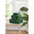 Green selected