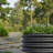 2PCS Round Raised Garedn Bed