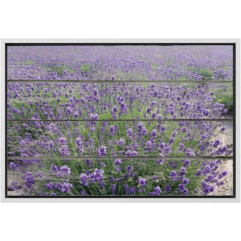 Flower Blossom " Purple Lavender Field ", White Floater Framed, 16" H x 24" W