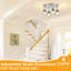 Directionnel et projecteur-114357191-120143459