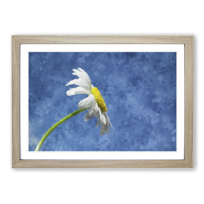White Daisy Flower Painting - Picture Frame Graphic Art
