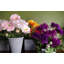 Plastic, Silk Artificial Arrangement in Pot