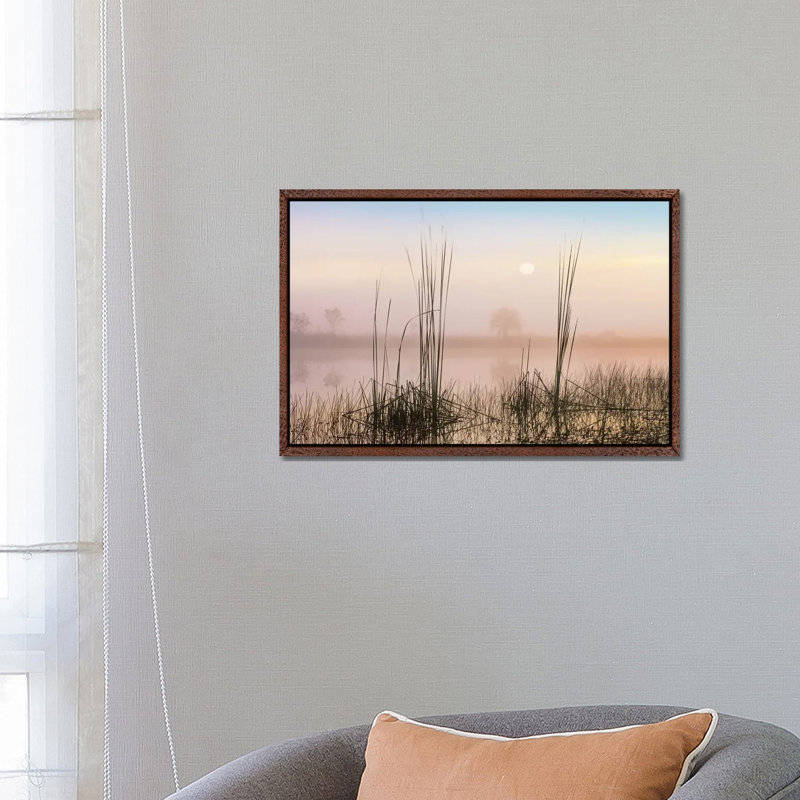 Reeds In Sweet Bay Pond, Everglades National Park, Florida by Tim Fitzharris - Floater Frame Gallery-Wrapped Canvas Giclée on Canvas