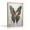 «Stone Butterfly», reproduction d'art sur toile, ensemble de 1
