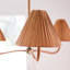 Delphine 3 - Light Chandelier