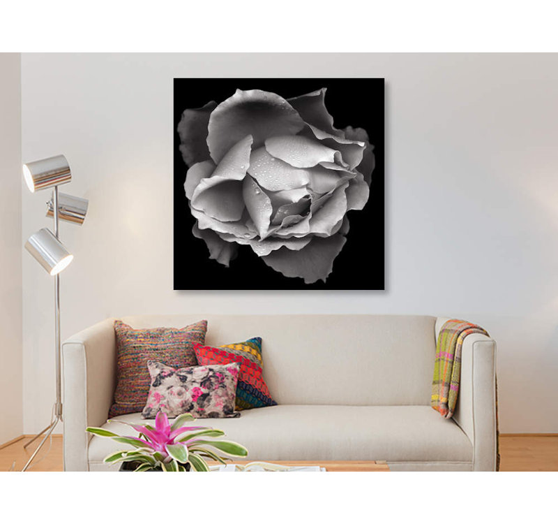 « saumon rose vii, b&w » par magda indigo, reproduction d’art sur toile, H 12 po x l 12 po x P 0,75 po, Toile tendue