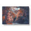 Stream Behind the Red Trees - Wrapped Canvas-56642054