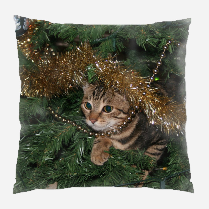  Coussin Cat