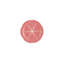 Cabbage Pink Plate 7", Set of 4
