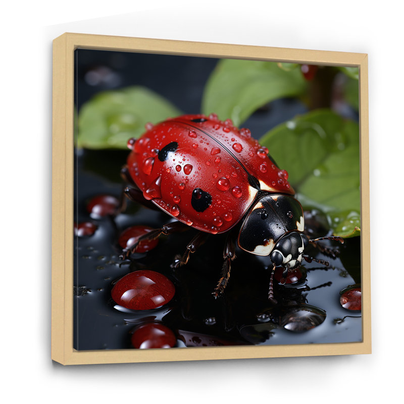 «Lactive Ladybug Reflections II», reproduction sur toile, H 24 po x l 24 po x P 1 po, Cadre naturel flottant