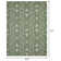 Ponds Ikat Indoor / Outdoor Rug