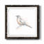 Robin des bois II-62718989-62718996