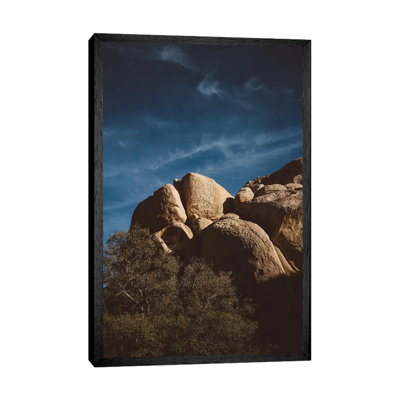 Joshua Tree National Park XIII by Bethany Young - Print on Canvas