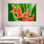 Fleur Harnek Heliconia-108101836