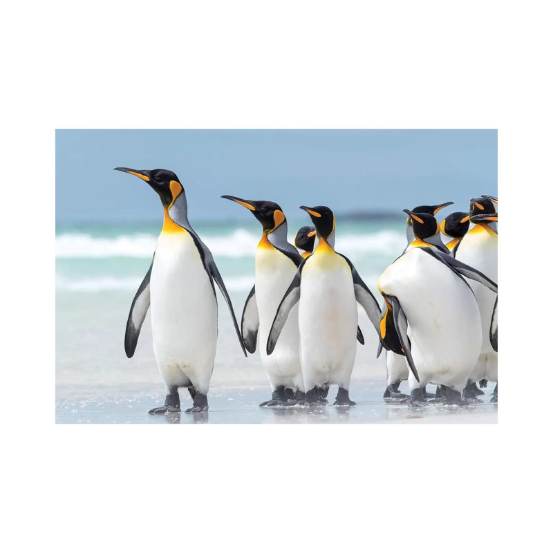King Penguin, Falkland Islands. by Martin Zwick - Wrapped Canvas Print, 101.6 cm H x 66.04 cm W x 1.91 cm D