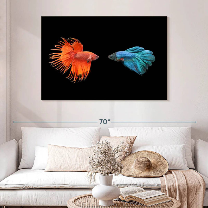 Brampt Betta Fish Meet, 32" H x 48" W
