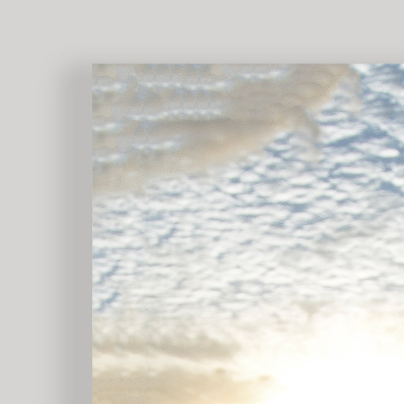 «Baby Sea Turtle», reproduction de photo sur toile encadrée
