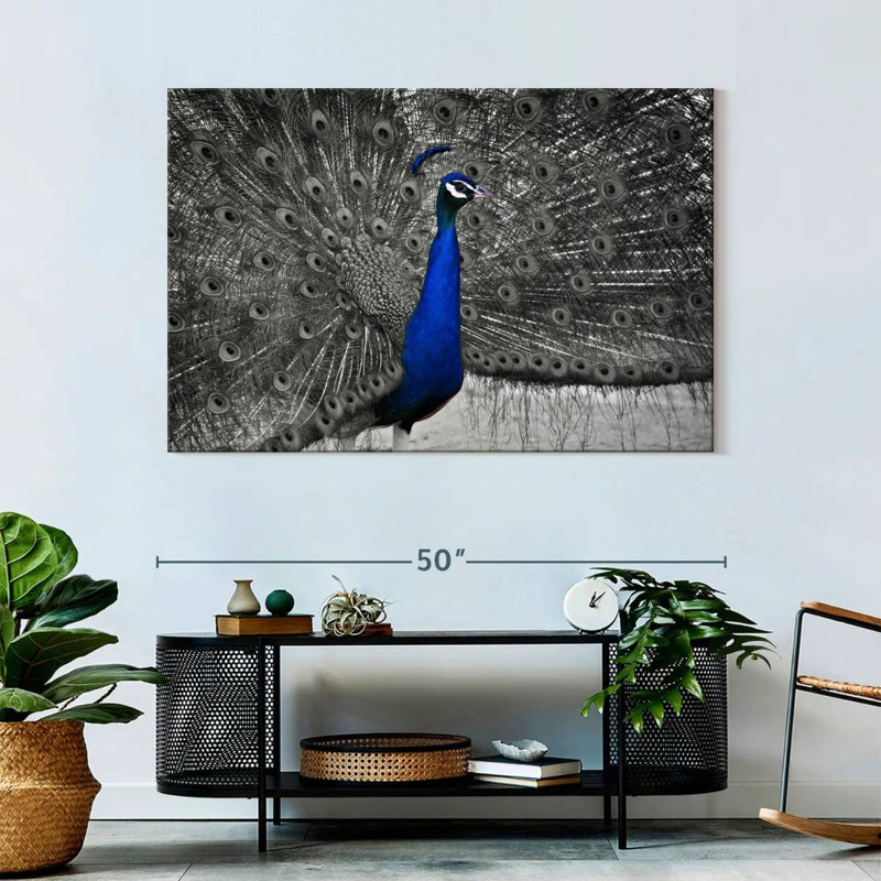 Brampt Peacock Pop, 32" H x 48" W