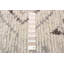 Tangier  Grey Rug 8'2" x 10'1"