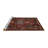 Oriental Indoor Rug-1484030647