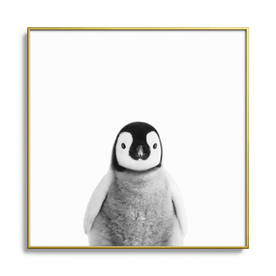 Bébé manchot noir et blanc - photographie avec cadre photo sur verre