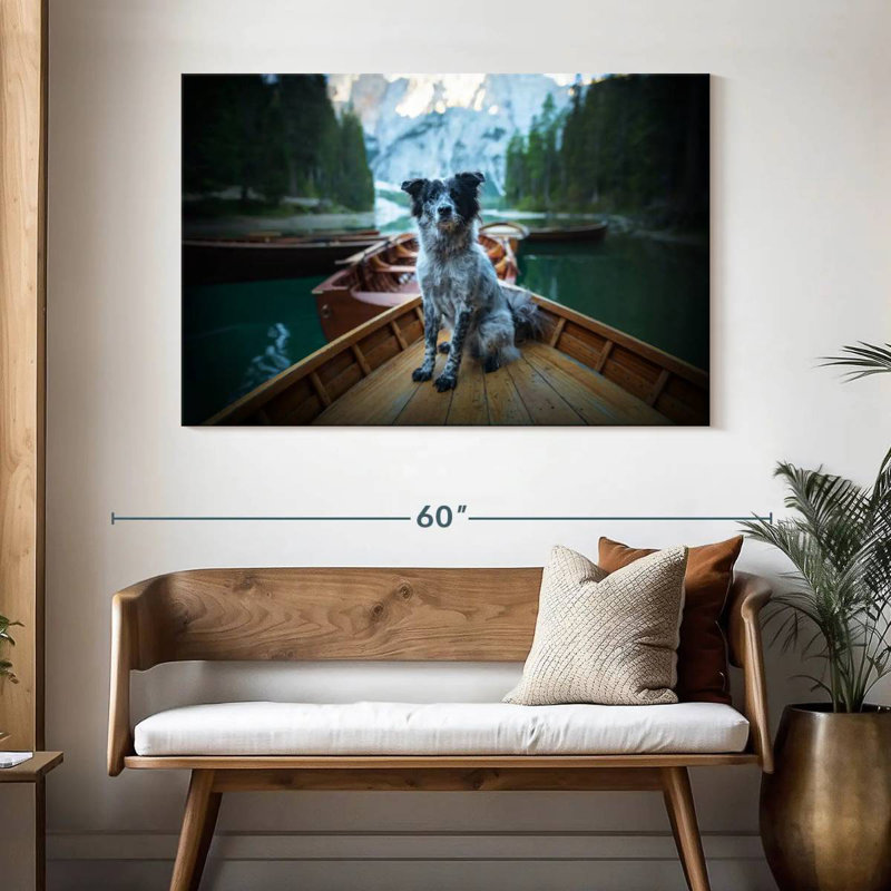 Border collie sur bateau, H 32 po x l 48 po
