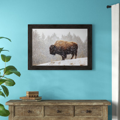 «Bison in The Snow», reproduction de photo encadrée