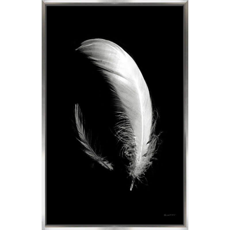 Dream Feathers - Photographie d'un seul cadre, L 21,5 po x H 33,5 po, Encadrement argenté