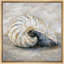Œuvre de coquillage classique en spirale classique, photos de décor de bord de mer doux, impression sur toile encadrée-126032551-126032548