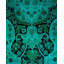 Fine Vibrance One-of-a-Kind 4' 2" X 6' 4" Hand Knotted Area Rug