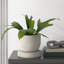 Icarus Handmade Ceramic Pot Planter-1670347522