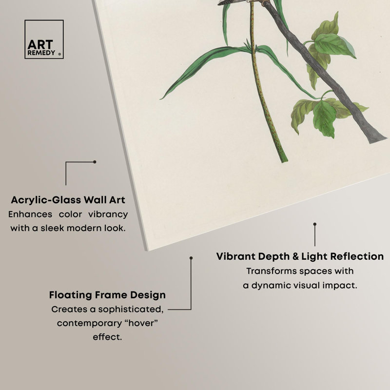 Reproduction d'acrylique Audubon par Art Remedy, H 15 po x l 10 po