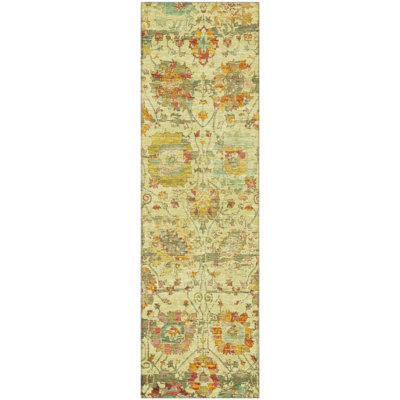Premium Machine Washable Lucchesi AMF1732 Global Rug