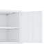 Armoire d'appoint moderne 24 po en acier inoxydable avec 2 tablettes réglables noires Ava-851075081