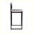 Modern Set of 2  Bar Stools with footrest for Kitchen Island-616857422