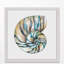 Aquarelle coquillages II - reproduction de cadre photo-517273376