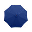 Darion Replacement Canopy