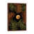 Classic Brown Wood Framed
