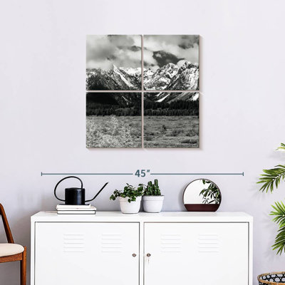 Alvord Snowy Teton Mountains BW