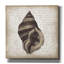 «Shell 2» par Erin Clark, art mural sur toile-2059308715