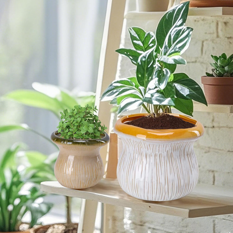 2-pack Ceramic Flower Pots With Drainage