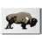 Monochrome Bison I-Gallery Wrapped Canvas-1931144835