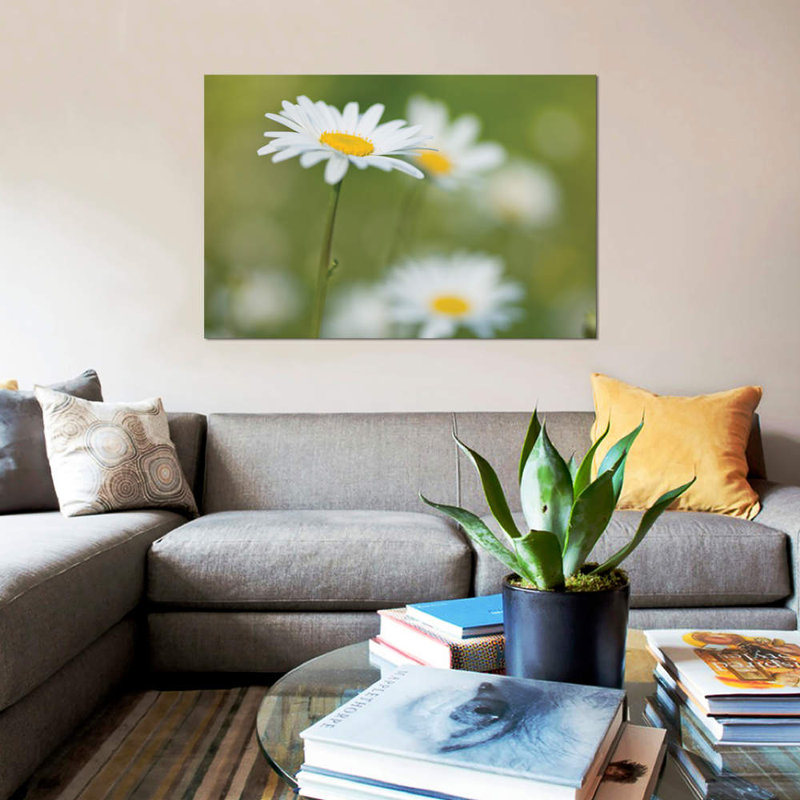 « marguerites », impression sur toile, H 8 po x l 12 po x P 0,75 po, Toile tendue, Pas de tapis
