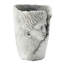 Ensemble de 2 pots de fleurs décoratifs 6,5 x 6 x 8,5 po